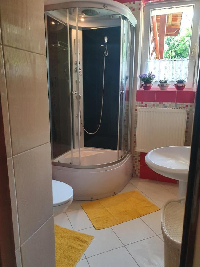 Przytulny Apartament-Cosy And Beautiful Живець Екстер'єр фото